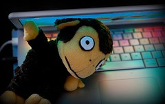 monkey and laptop